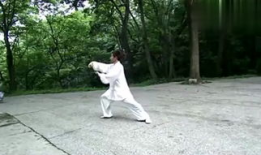 太极拳教学视频,领略传统武术魅力，轻松入门养生之道